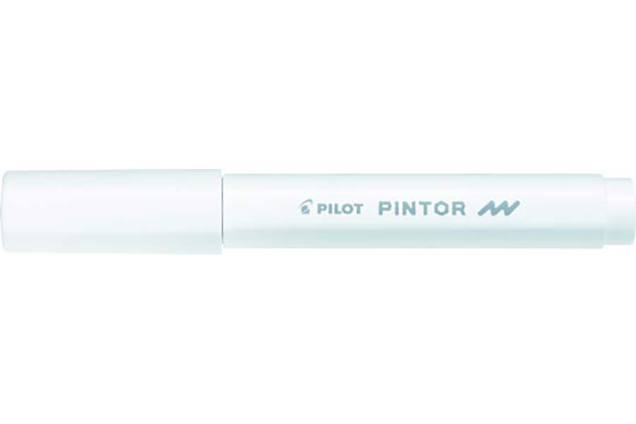 Popisovač Pilot Pintor F / bílá