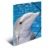 Deska s gumičkou PP A3 Delphins