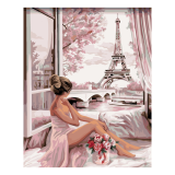 Diamantové malování (s rámem) - Výhled na Eiffelovku
