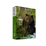 Karty hrací - Černý Petr - Les