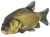 Lín plyšový 50cm 0m+ v sáčku