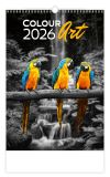 Nástěnný kalendář 2026 Colour Art