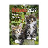 Nástenný kalendár 2027 Kittens/Koťátka/Mačičky