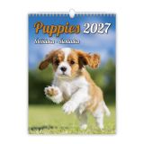 Nástenný kalendár 2027 Puppies/Štěňátka/Šteniatka