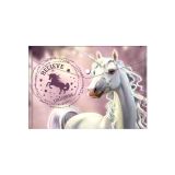 Obal PP s patentem A5, Believe in Unicorns Obal PP s patentem A5, Believe in Unicorns