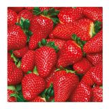 Ubrousky PAW L 33x33cm Raw Strawberries