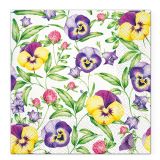 Obrúsky TaT 33x33cm Beautiful Pansies