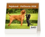 Stolní kalendář 2026 MiniMax Štěňata/dorosty