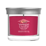 Svíčka Yankee Candle - SANTA ON SKIS, malá
