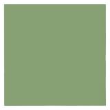 Ubrousky PAW AIRLAID 40x40 cm (50 ks) Monocolor Green