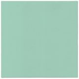 Ubrousky PAW AIRLAID 40x40 cm Monocolor (mint)