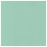 Ubrousky PAW AIRLAID 40x40 cm Monocolor (mint)