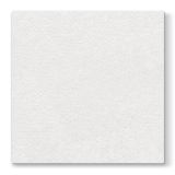 Ubrousky PAW Airlaid L 40x40cm Unicolor White