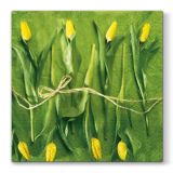 Ubrousky PAW L 33x33cm Fresh Tulips Ubrousky PAW L 33x33cm Fresh Tulips