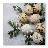 Ubrousky PAW L 33x33cm Natural Eggs