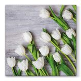 Ubrousky PAW L 33X33cm White Tulips