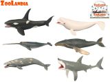 Zoolandia mořská zvířátka 18-26cm 6druhů v sáčku 12ks v DBX Zoolandia mořská zvířátka 18-26cm 6druhů v sáčku 12ks v DBX