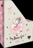 box na sešity skládací A4 Tiny Dancer