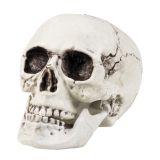 Boland Dekorace lebka s pohyblivou čelistí 24 cm Boland Dekorace lebka s pohyblivou čelistí 24 cm