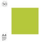 Papír A4 barevný zelený bledě Papír A4 barevný zelený bledě