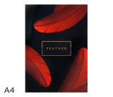 Sešit 484 Sešit 484