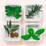 Ubrousky GOMAR L (20ks) Culinary herbs