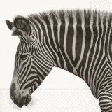 Ubrousky GOMAR L (20ks) Zebra