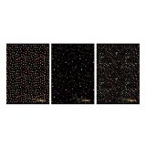 Sešit A4 54 listů Black&Gold nelinkovaný ,balení 10 ks Sešit A4 54 listů Black&Gold nelinkovaný ,balení 10 ks