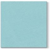 PAW AAN00115 ubr.40x40 50ks mint
