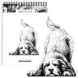 Skicovací notes A5 SP 60l čistý PES ,balení 4 ks