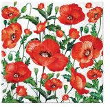 Ubrousky PAW Dekor L (20ks) Flanders Poppy