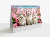 2027 kalendář stolní Kočky 309 2027 kalendář stolní Kočky 309