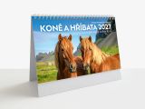 2027 kalendář stolní Koně a hříbata 311