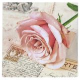 Ubrousky GOMAR L (20ks) Postcard rose