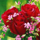 Ubrousky GOMAR L (20ks) Bouquet de roses