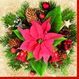 Ubrousky DAISY L (20ks) Red Poinsettia