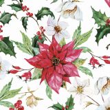 Ubrousky DAISY L (20ks) Watercolour Poinsettia