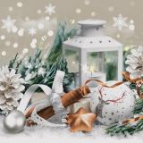 Ubrousky DAISY L (20ks) Lantern with Cinnamon Sticks