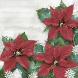 Ubrousky DAISY L (20ks) Red Poinsettias Frame