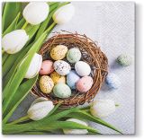 Ubrousky PAW Dekor L (20ks) Eggs and Tulips