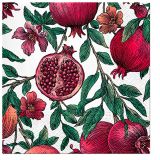 Ubrousky PAW Dekor L (20ks) Pomegranate