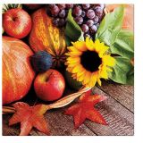 Ubrousky PAW Dekor L (20ks) Autumn Treasures Ubrousky PAW Dekor L (20ks) Autumn Treasures