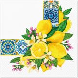 Ubrousky PAW Dekor L (20ks) Mediterranean Frame