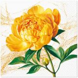 Ubrousky PAW Dekor L (20ks) Peony Blossom