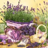 Ubrousky DAISY L (20ks) Scent of Lavender