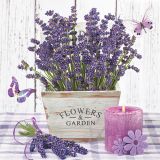 Ubrousky DAISY L (20ks) Lavender in a Wooden Pot