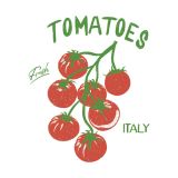 Ubrousky DAISY L (20ks) Italian Fresh Tomatoes Ubrousky DAISY L (20ks) Italian Fresh Tomatoes