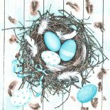 Ubrousky DAISY L (20ks) Pastel Blue Eggs in Natural Nest