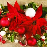 Ubrousky MAKI L (20ks) Poinsettias with Mistletoe Ubrousky MAKI L (20ks) Poinsettias with Mistletoe