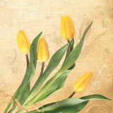 Ubrousky MAKI L (20ks) Bunch of Yellow Tulips